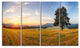"Lonely Tree on Meadow at Sunset" Landscape Photo Wall Art, 4 Panels, 48"x28"