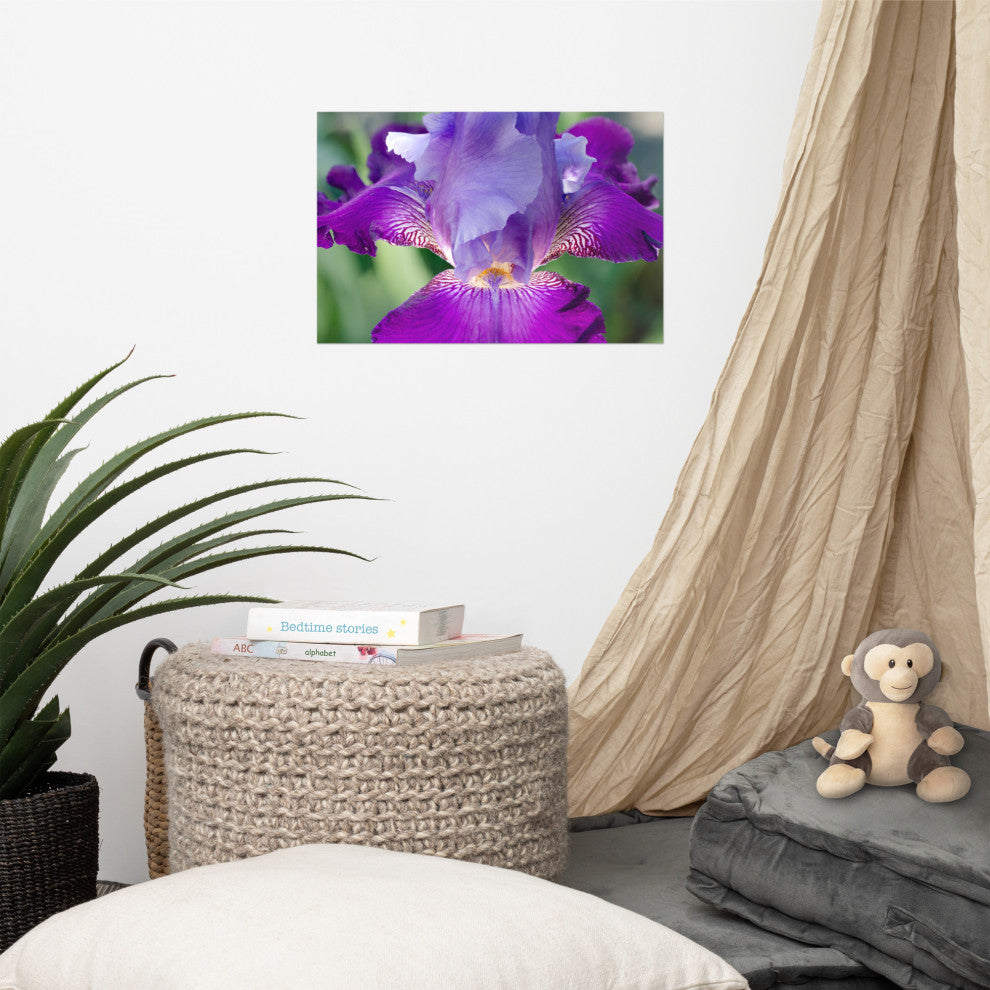 Glowing Iris Nature Photography, Floral Unframed Wall Art Print, 12" X 18"