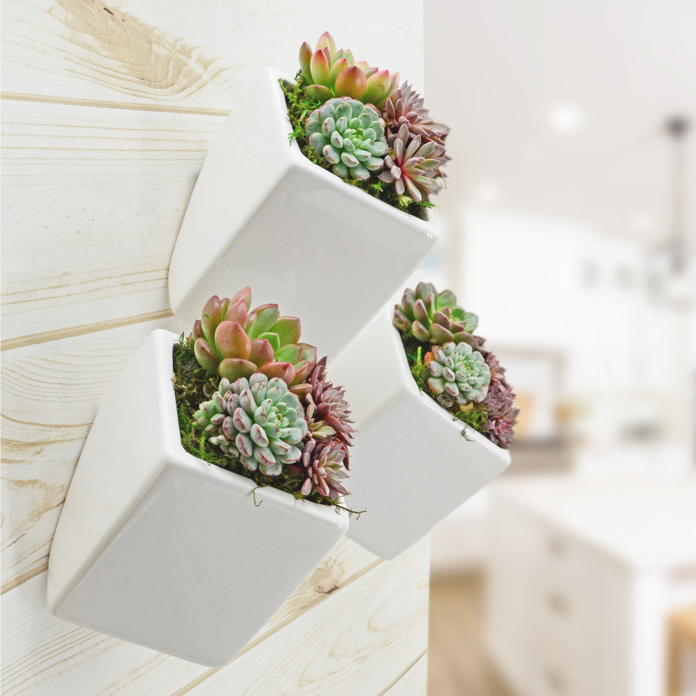Large Cube Wall Planter, White