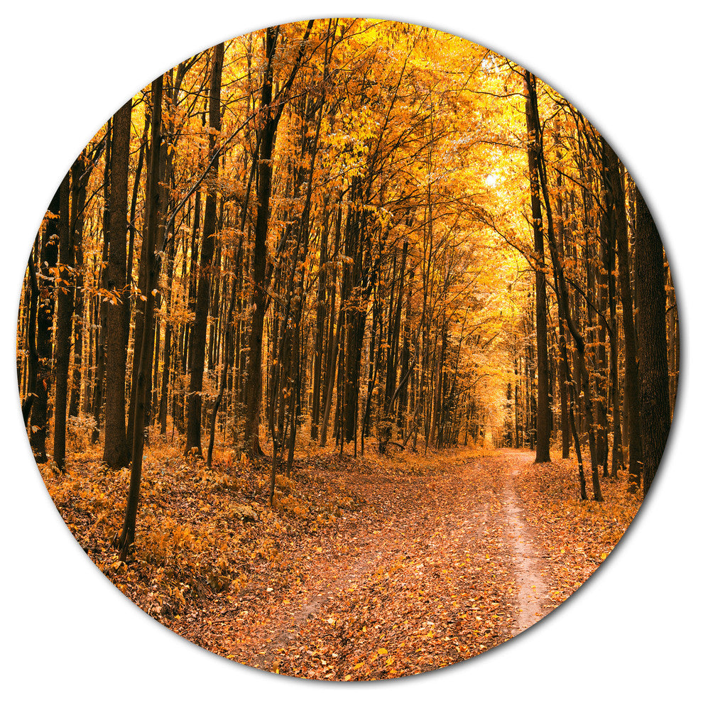 Pathway In Yellow Autumn Forest, Forest Large Disc Metal Wall Art, 11"