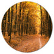 Pathway In Yellow Autumn Forest, Forest Large Disc Metal Wall Art, 11"