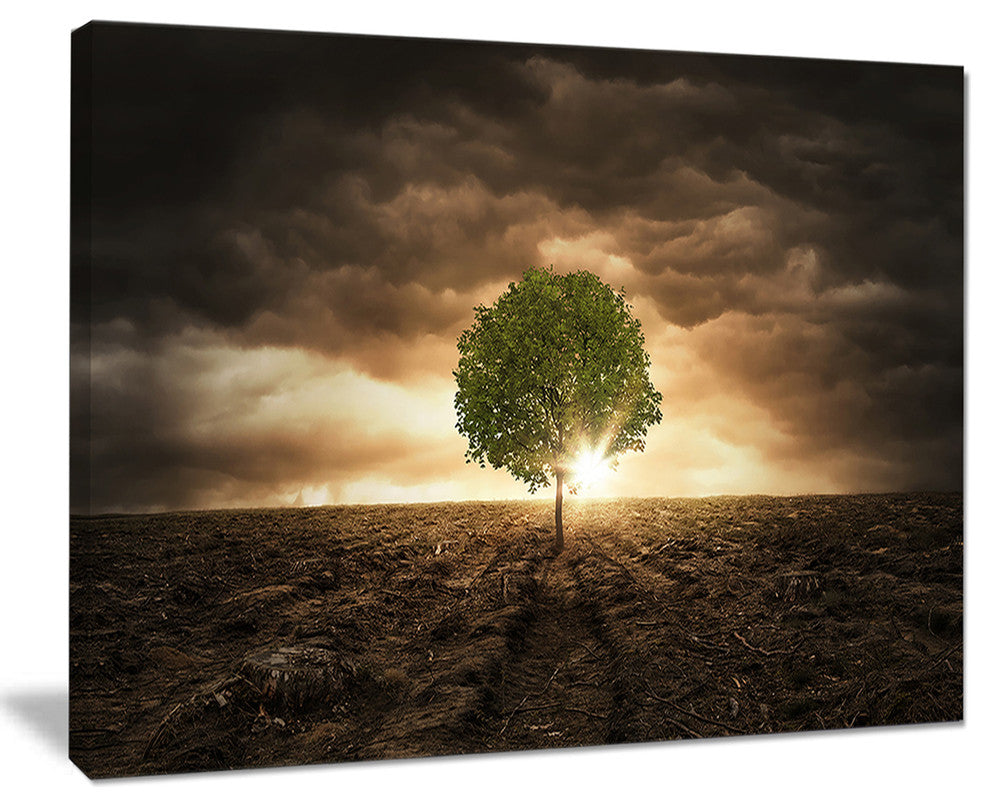 "Lonely Tree Under Dramatic Sky" Wall Art Landscape, 40"x30"