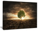 "Lonely Tree Under Dramatic Sky" Wall Art Landscape, 40"x30"