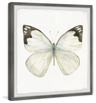 "Rainforest Butterfly" Framed Painting Print, 18x18