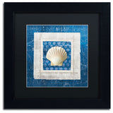 'Sea Shell III on Blue' Matted Framed Canvas Art by Belinda Aldrich