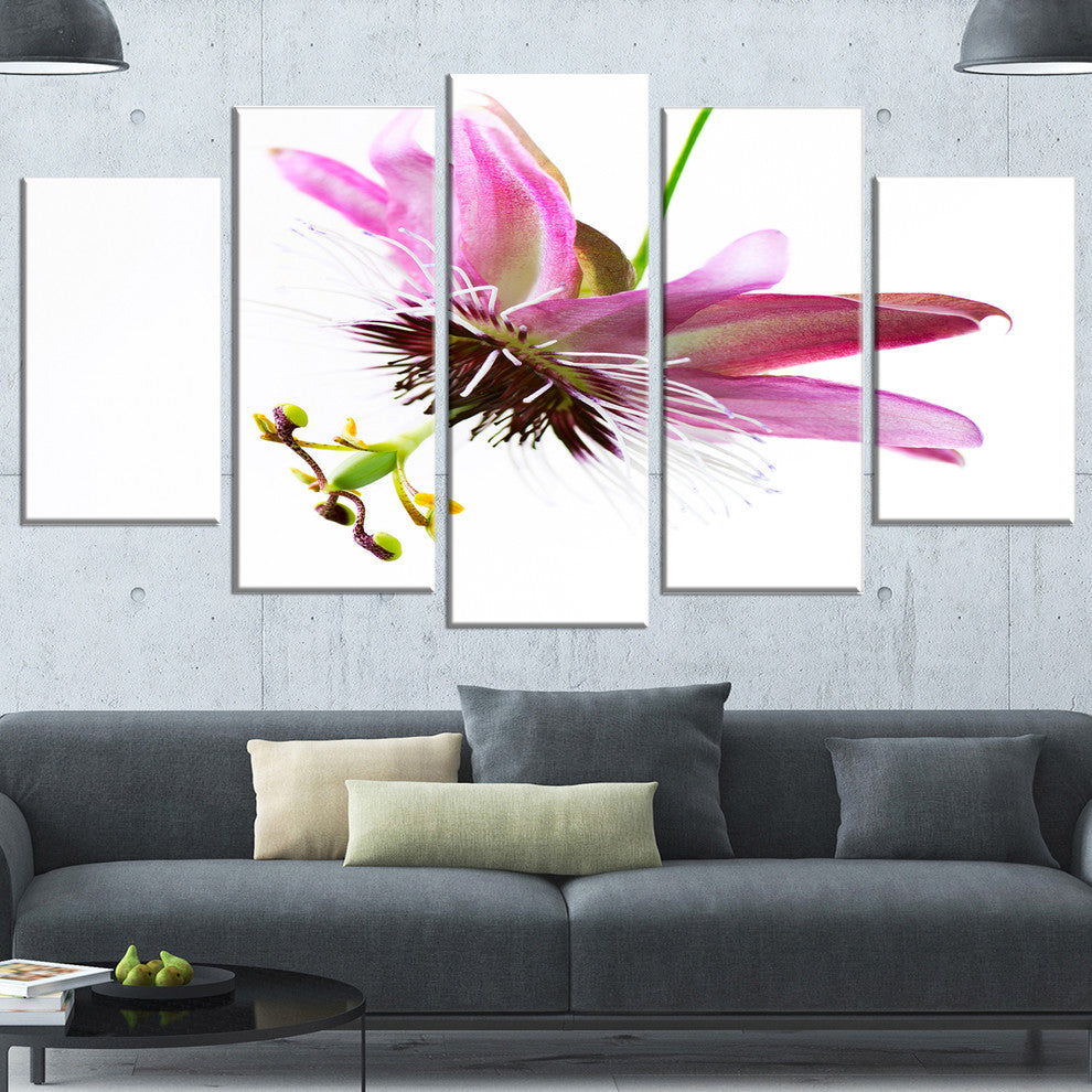 Passiflora Flower over White, Large Abstract Canvas Wall Art, 60"x32", 5 Panels