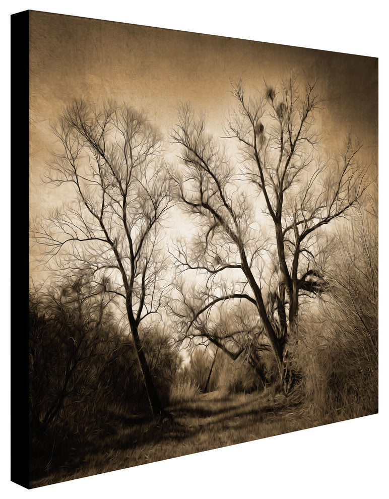 'Sepia Ghost' Canvas Art by Philippe Sainte-Laudy