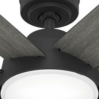 52" Donatella Matte Black Ceiling Fan, LED Light Kit and Handheld Remote
