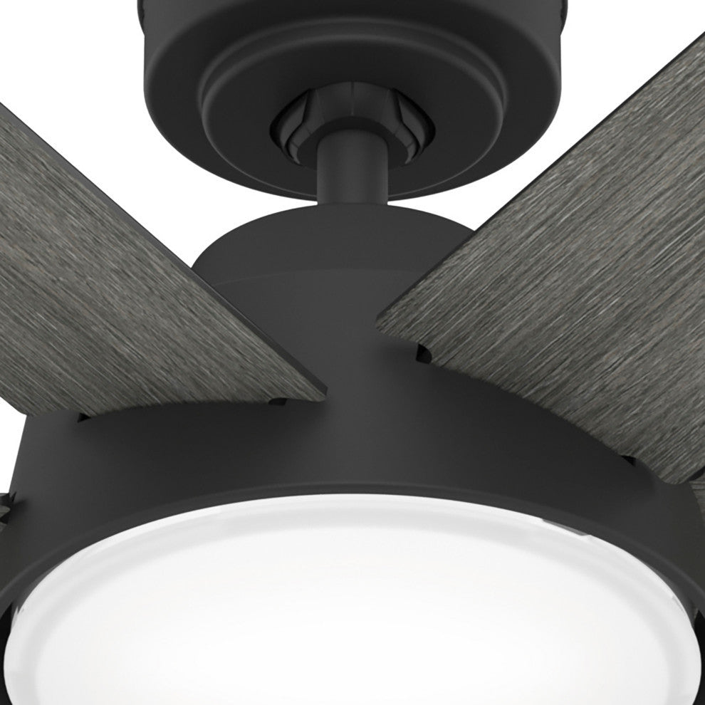 52" Donatella Matte Black Ceiling Fan, LED Light Kit and Handheld Remote