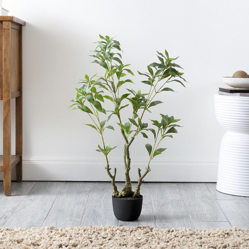 Lifestyle image showing the plant in a real room environment with visible surroundings.