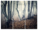 "Mystical Yellow Fog in Fall Forest" Photo Metal Wall Art, 3 Panels, 36"x28"