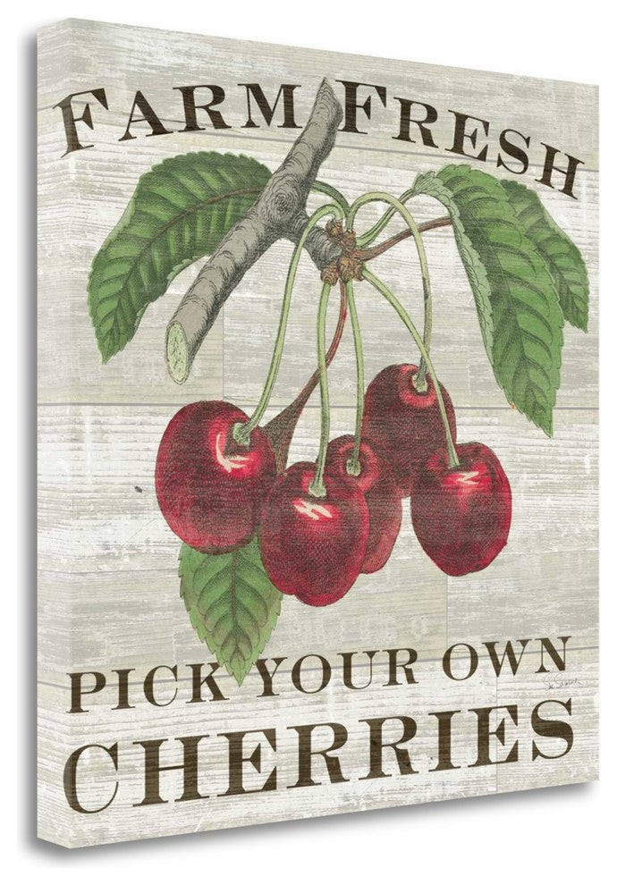 "Farm Fresh Cherries" By Sue Schlabach, Giclee Print on Gallery Wrap Canvas