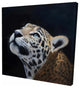 Realistic Leopard Face Print On Wrapped Canvas, 24"x24"