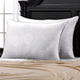 2-Pack Micronone Allergen Free Gel Fiber Soft Stomach Sleeper Pillows, Queen