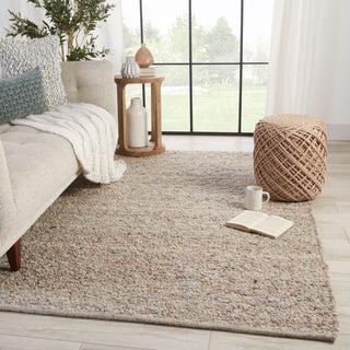 Hadren Handmade Solid Gray and Brown Area Rug, Light Gray and Tan, 9'x12'