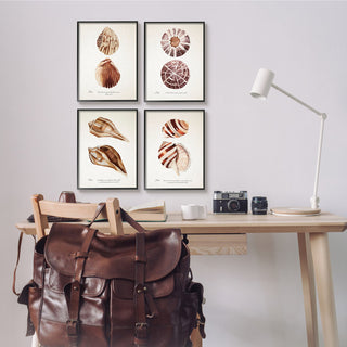 Elegant Beach Seashells Exquisite Marine Life , 4pc, each 11 x 14