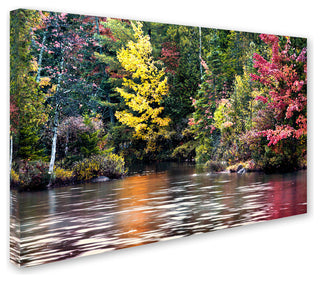 'Adirondacks' Canvas Art by David Ayash