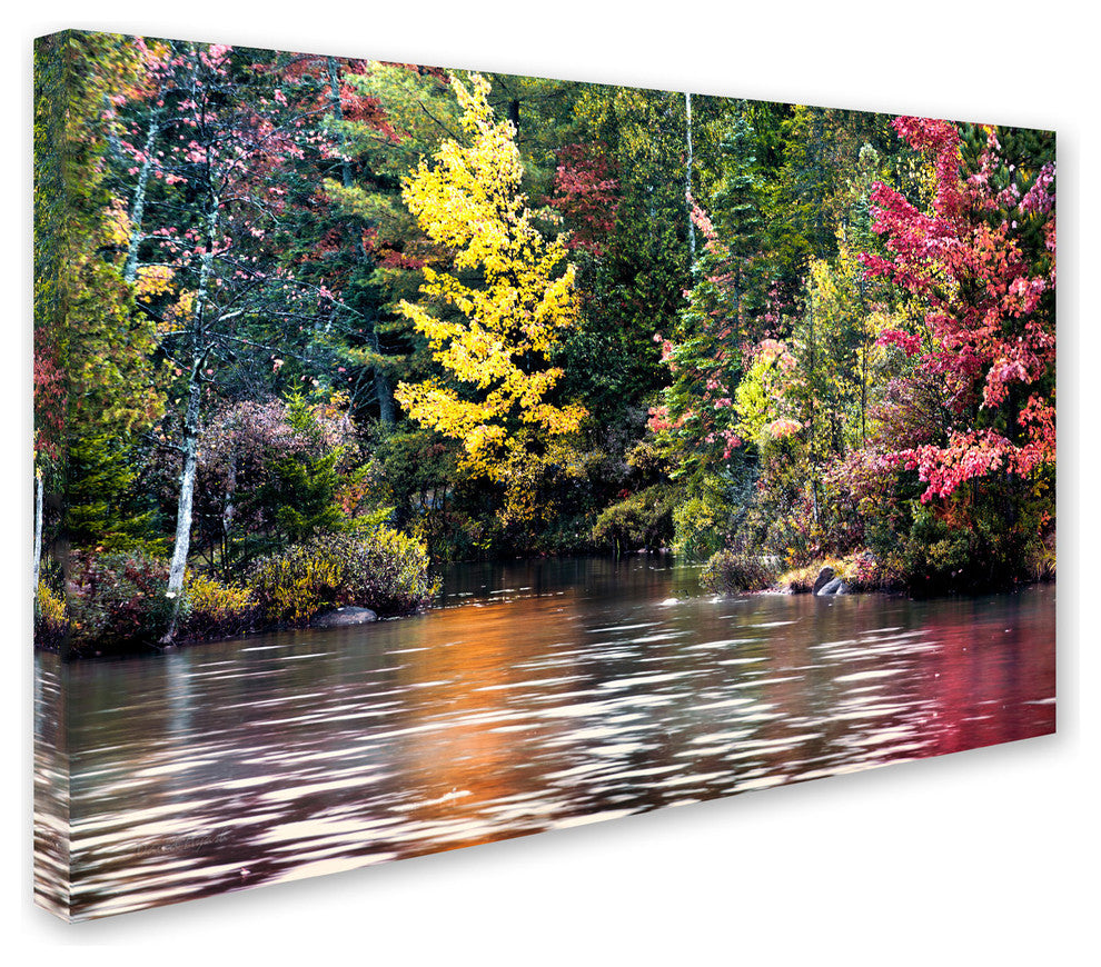 'Adirondacks' Canvas Art by David Ayash