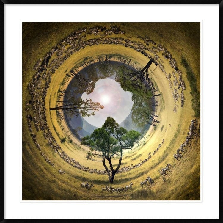 "Untitled" Framed Digital Print by Ghizzi Panizza Alberto, 38"x38"