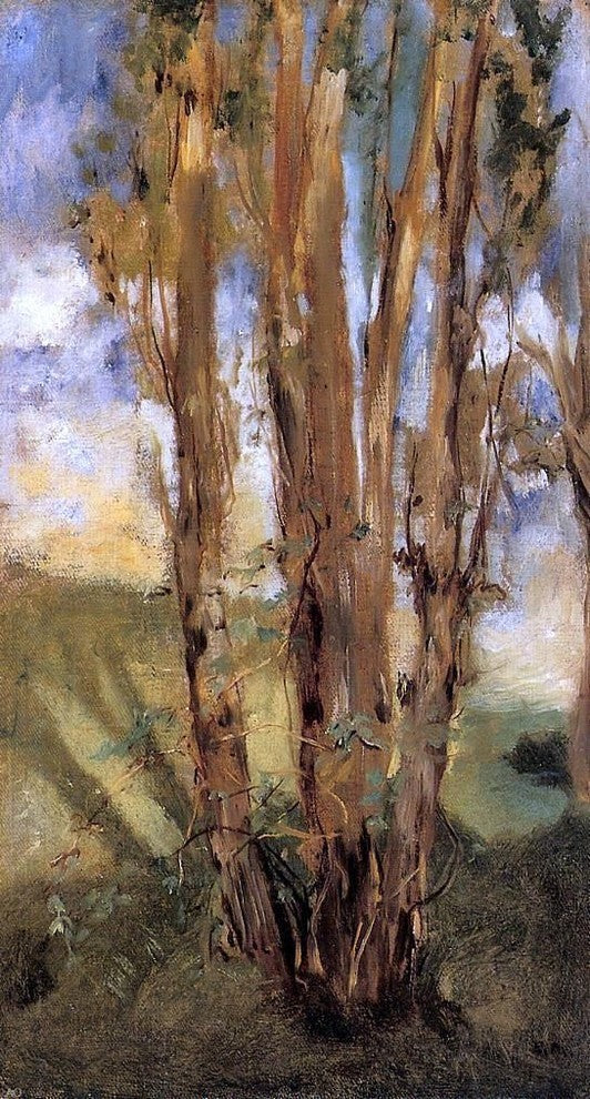 Edouard Manet Study of Trees Premium Canvas Print