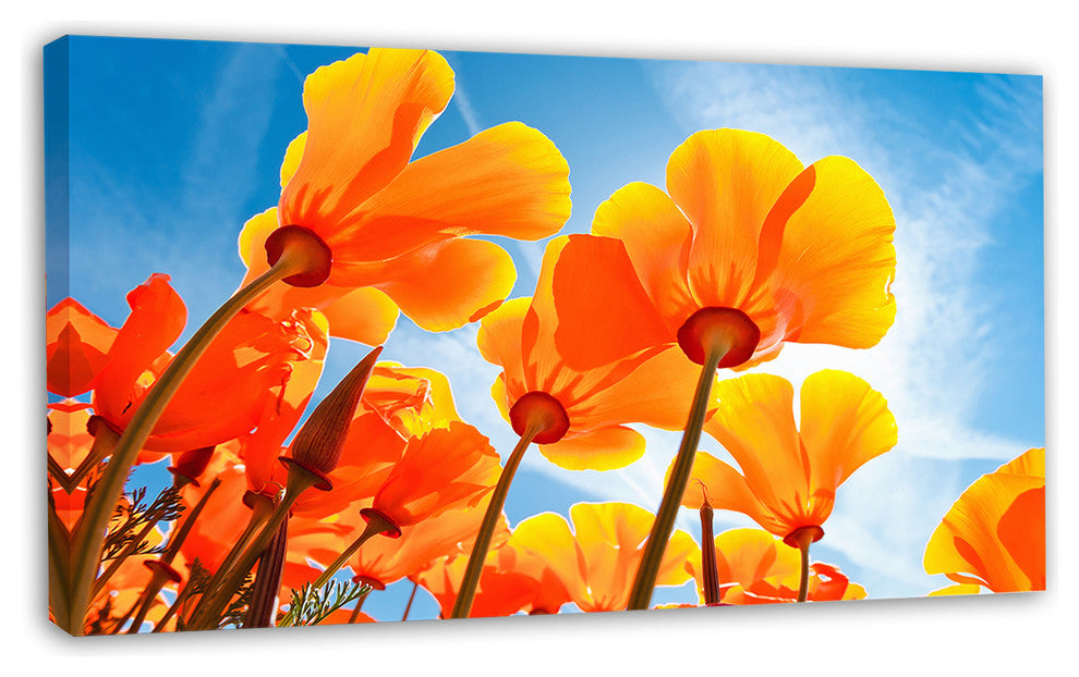 Yellow Spring Flowers on Blue, Floral Canvas Art Print, 32"x16"