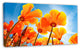 Yellow Spring Flowers on Blue, Floral Canvas Art Print, 32"x16"