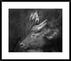 "Three Is A Crowd!" Framed Digital Print by Ali Khataw, 32x28"