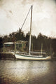 36x54 Sailboat, Unframed Artwork