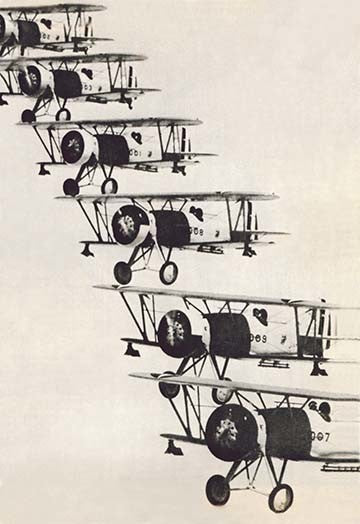 Flying in Formation- Gallery Wrapped Canvas Art 28" x 42"
