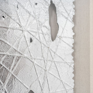 Lustrous Beauty, Modern Framed Shadow Box, Silver