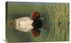 "Redhead Duck Male, Portrait, Moses Lake, Washington" Artwork, 24" x 16"
