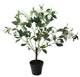 24" Decorative Artificial Potted Lily White Magnolia Topiary Tree