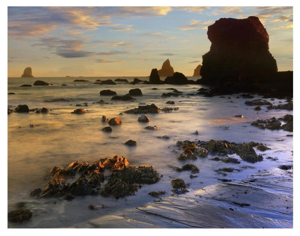 "Seastacks, Lone Ranch Beach, Oregon" Paper Print by Tim Fitzharris, 34"x26"