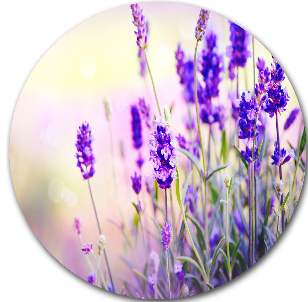 Purple Lavender Field, Floral Photography Disc Metal Wall Art, 23"