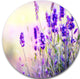 Purple Lavender Field, Floral Photography Disc Metal Wall Art, 23"
