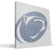 PST Nittany Lions Typo Canvas Print, 16"x16"