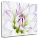 "Dahlia" By Dawn Leblanc, Giclee Print on Gallery Wrap Canvas, Ready to Hang