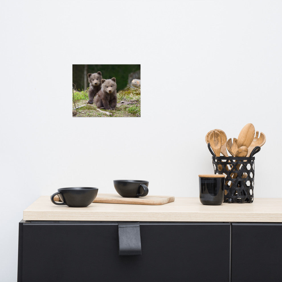Baby Brown Bear Cubs In Forest Wildlife Photo Loose Wall Art Print, 8" X 10"