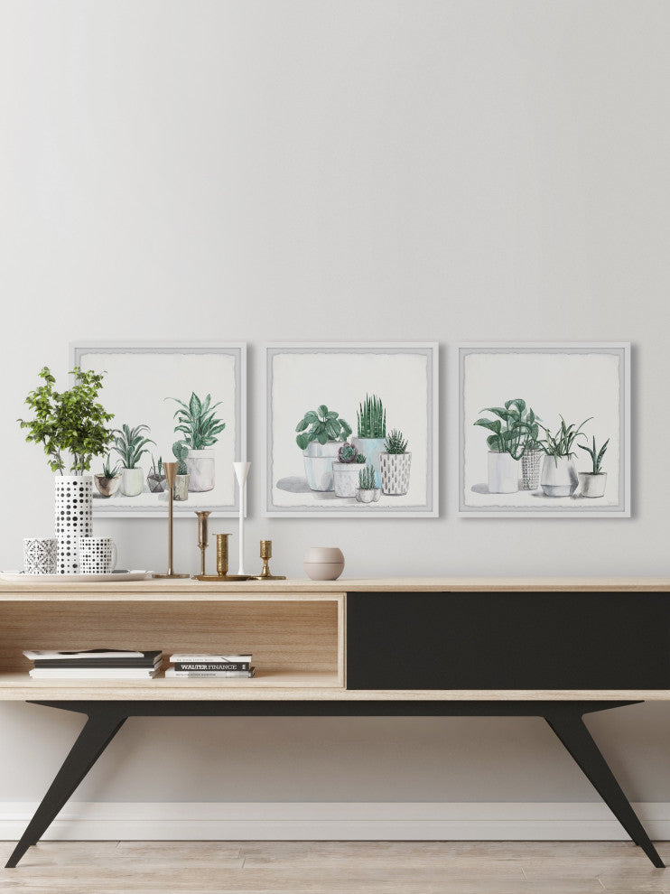 Urban Houseplants Triptych, Set of 3, 24x24 Panels