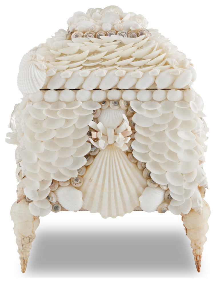 Boardwalk White Shell Jewelry Box