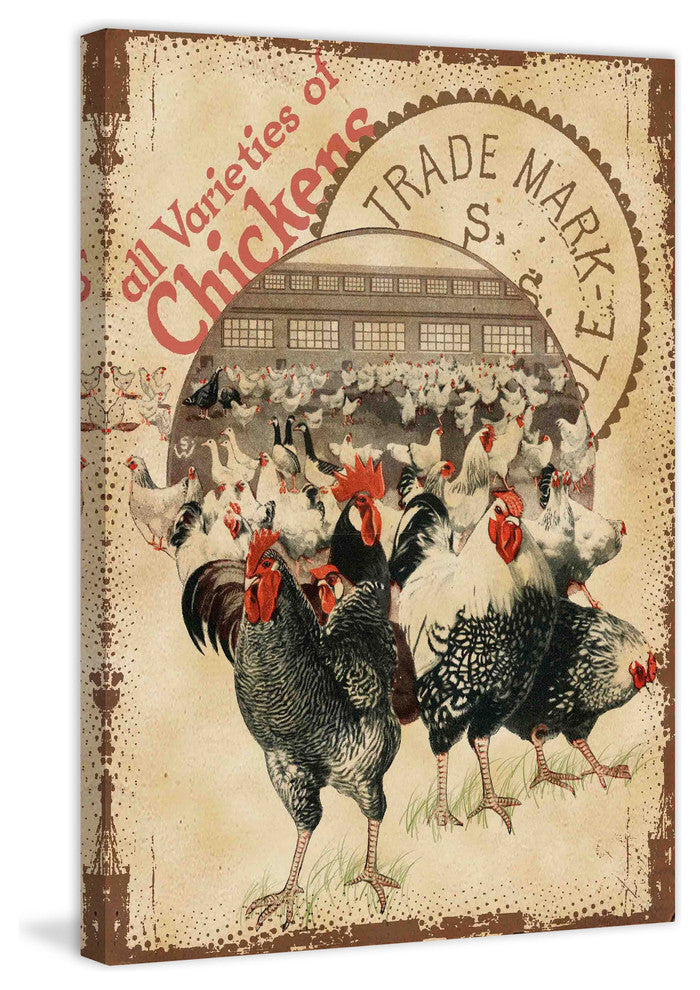 "Chicken Varieties" Painting Print on Canvas