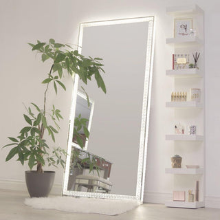 Diamond Collection Radiant Premium Illuminated Crystal Floor Mirror