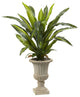 5' Dracaena Plant With Urn, Real Touch