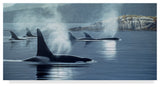 Ron Parker 'Morning Mist' Canvas Art, 47"x24"