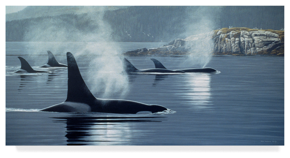 Ron Parker 'Morning Mist' Canvas Art, 47"x24"