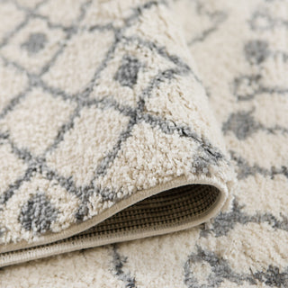 Aspen Arra Shag Polypropylene Area Rug, 8'3"x11'6"