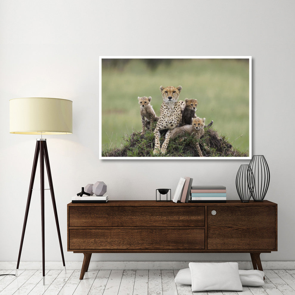 "Cheetah mother and 8-9 week old cubs, Maasai Mara Reserve" Paper Art, 62"x42"