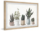"Ultimate Succulent Collection" Framed Painting Print