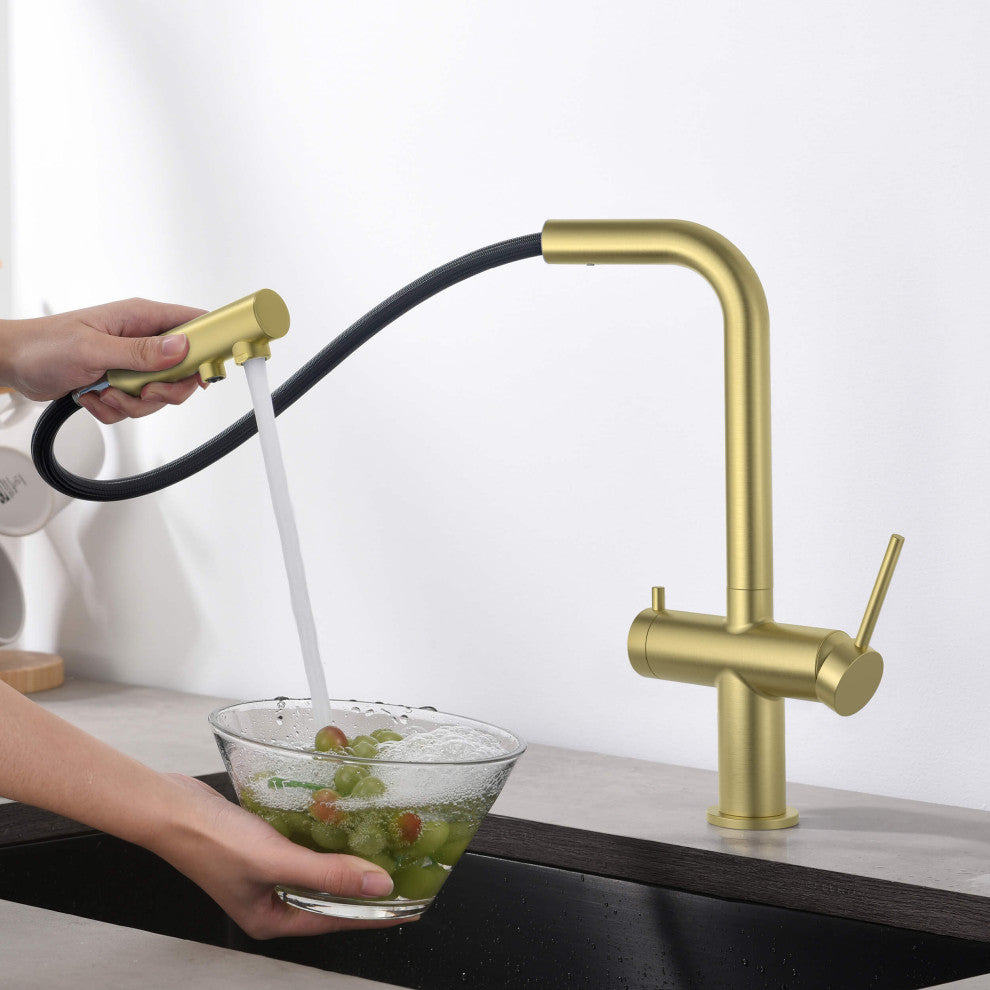 Circular 2-in-1 Water Filter Kitchen Pull Out Faucet, Brushed Gold