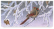 Wilhelm Goebel ''Winter Lady Cardinal'' Canvas Art, 19"x10"